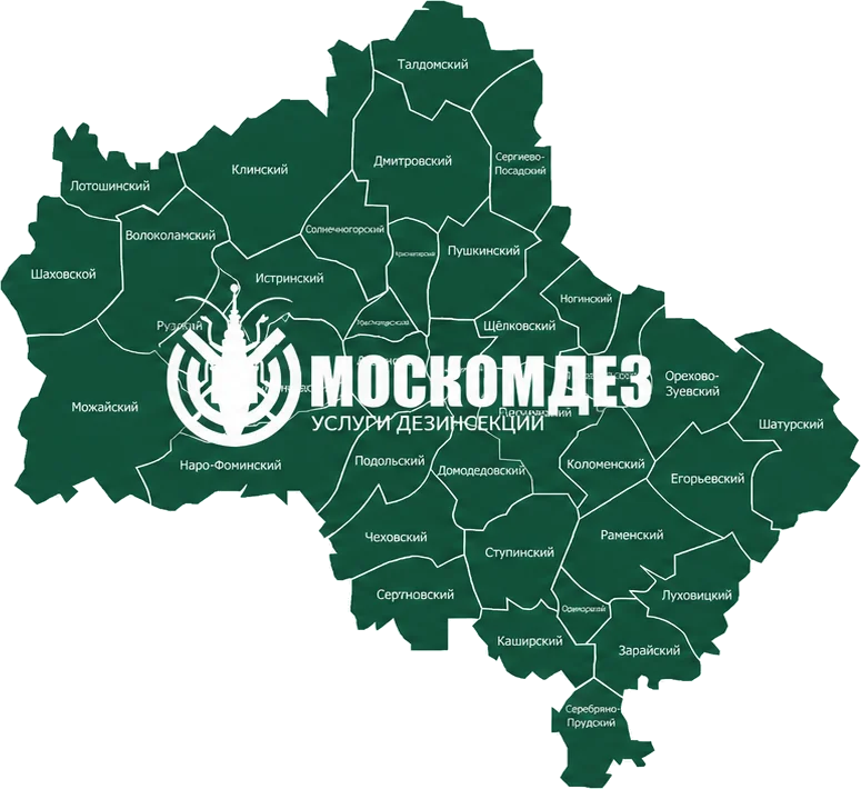 Карта выезда: Троицк и Московская область
